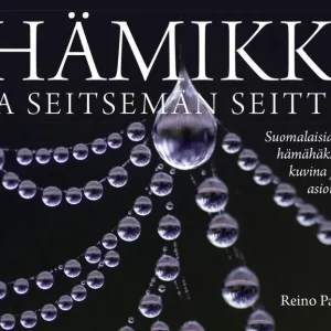 Hämikki ja seitsemän seittiä