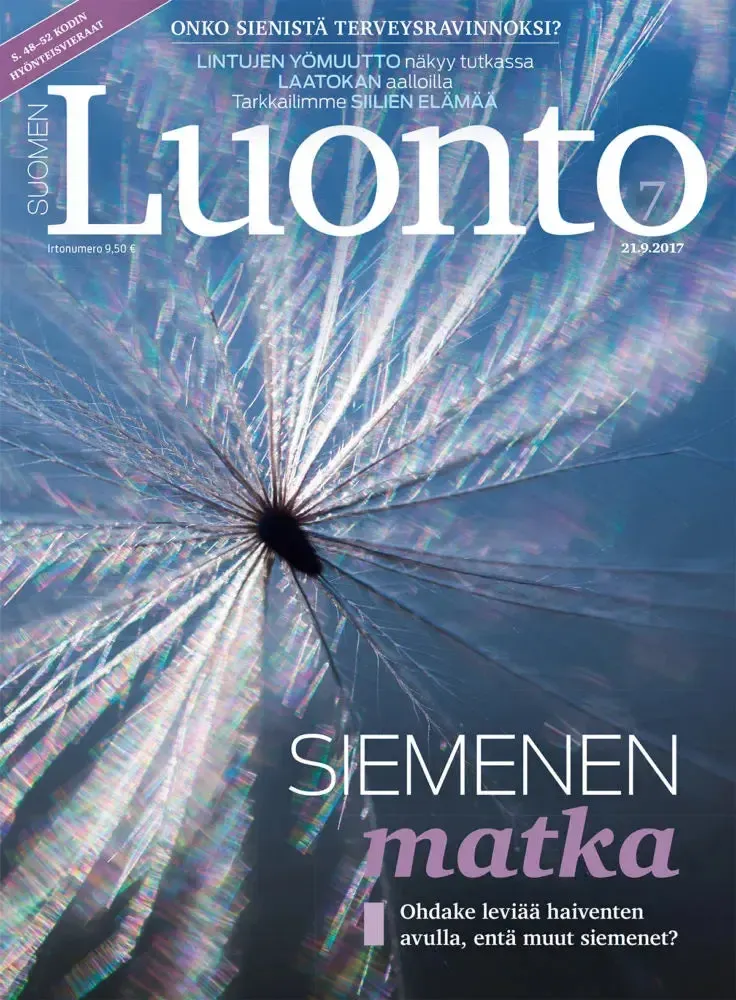 Suomen Luonto 7/2017 - Image 2